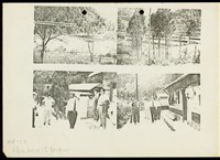 藏品((影印照片))的圖片