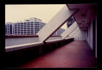 藏品((彩色照片))的圖片