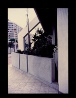 藏品((彩色照片))的圖片