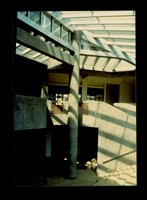 藏品((彩色照片))的圖片