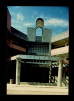 藏品((彩色照片))的圖片