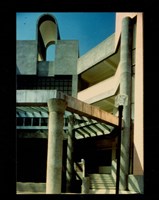 藏品((彩色照片))的圖片