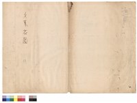 藏品(文華花園　侯)的圖片