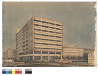 藏品(透視圖)的圖片