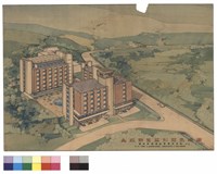 藏品(透視圖)的圖片