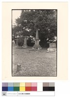 藏品(墓碑)的圖片