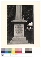 藏品(特寫)的圖片