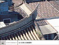 藏品(燕尾)的圖片