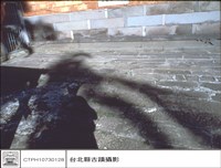 藏品(石板地)的圖片