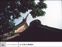 藏品(馬背燕尾)的圖片