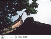 藏品(馬背燕尾)的圖片