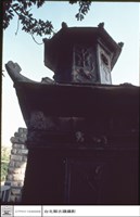 藏品(仰視)的圖片