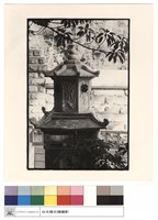 藏品(背面)的圖片