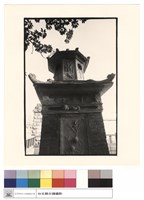 藏品(仰視)的圖片