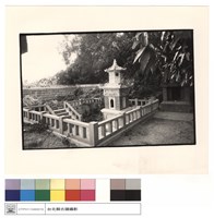 藏品(右側視)的圖片