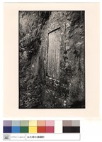 藏品(全景)的圖片