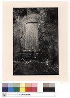 藏品(全景)的圖片