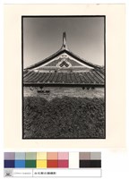 藏品(燕尾)的圖片