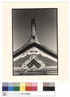 藏品(燕尾)的圖片