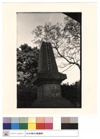 藏品(碑(特寫))的圖片