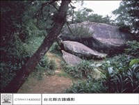 藏品(全景)的圖片