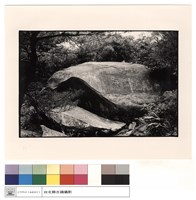 藏品(特寫)的圖片