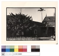 藏品(正面)的圖片