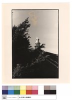 藏品(屋頂)的圖片