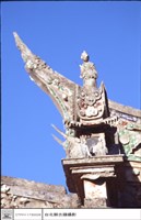 藏品(燕尾)的圖片