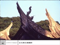 藏品(燕尾)的圖片