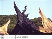 藏品(燕尾)的圖片