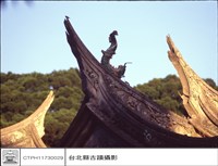 藏品(燕尾)的圖片