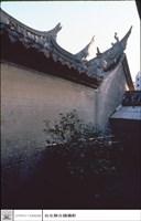 藏品(燕尾)的圖片