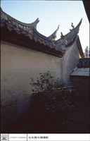 藏品(燕尾)的圖片