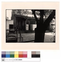 藏品(外觀)的圖片