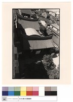 藏品(屋頂)的圖片