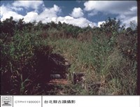 藏品(正面)的圖片