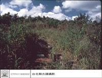 藏品(正面)的圖片