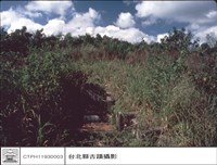 藏品(正面)的圖片