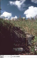 藏品(正面)的圖片