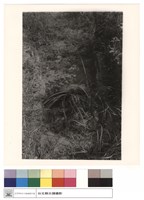 藏品(由後方看前)的圖片