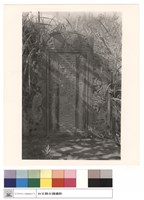 藏品(碑)的圖片