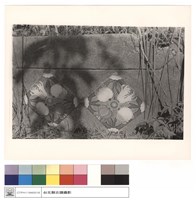 藏品(墓旁的磁磚)的圖片