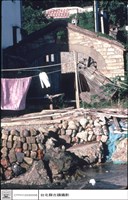 藏品(正面)的圖片