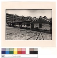 藏品(外觀)的圖片