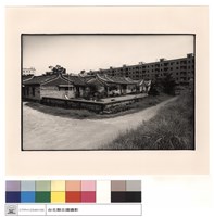 藏品(外觀)的圖片