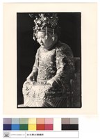 藏品(十九卉.士實婆)的圖片