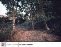 藏品(後左側)的圖片