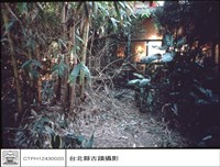 藏品(右側窗視門)的圖片