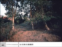 藏品(後左側)的圖片